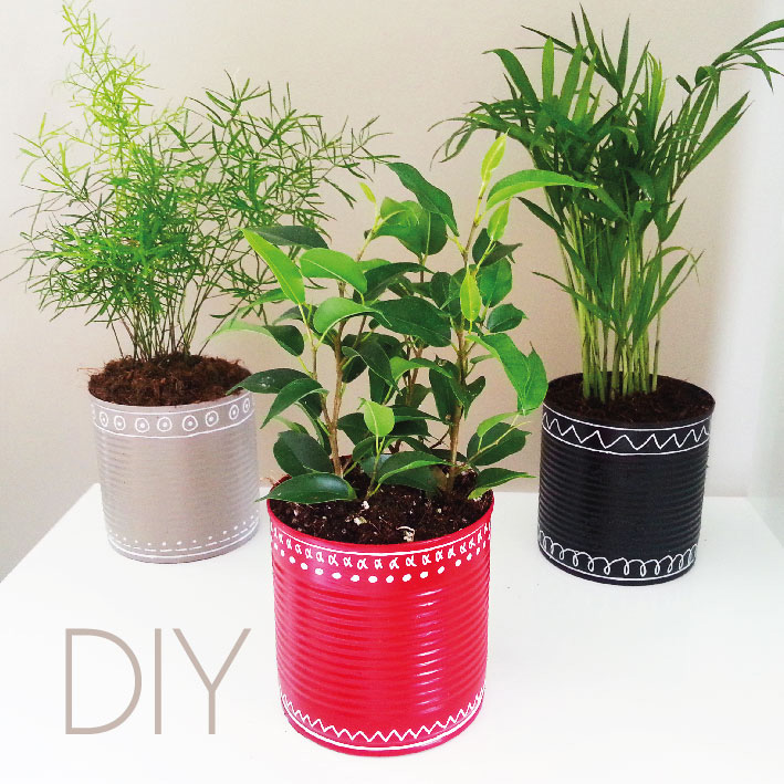 DIY : Transformer une conserve en pot de fleur !