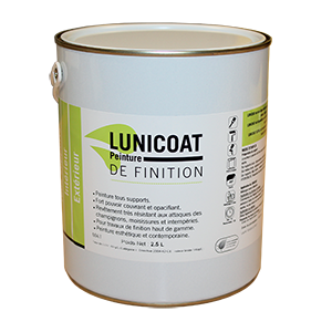 lunicoat peinture tous supports